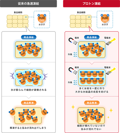 図8.従来の急速凍結方法とプロトン凍結方法の比較