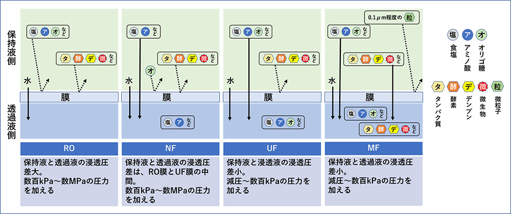 図3.浸透膜(RO)、ナノろ過膜(NF)、限外ろ過(UF)、精密ろ過(MF)の分離特性比較