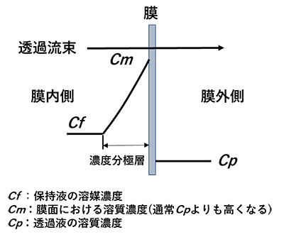 図5.濃度分極の概念図