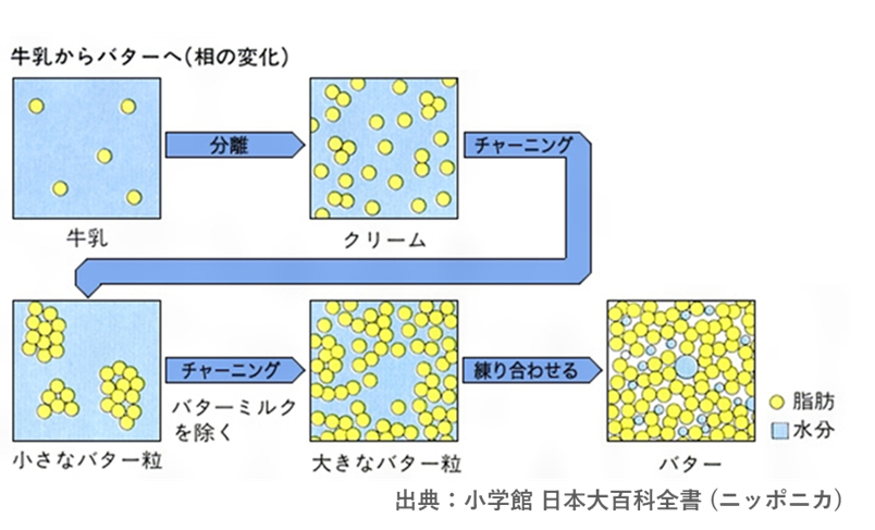 図2. チャーニングによるバター粒の形成過程