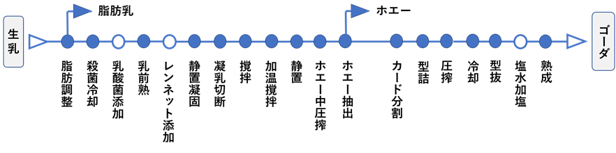 半硬質チーズ (ゴーダ)