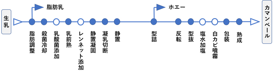 カビ熟成チーズ (カマンベール)