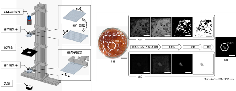 図3-2. 近赤外光と偏光による異物検知光学系(左)と苺ジャムに混入した手袋片の検知(右)