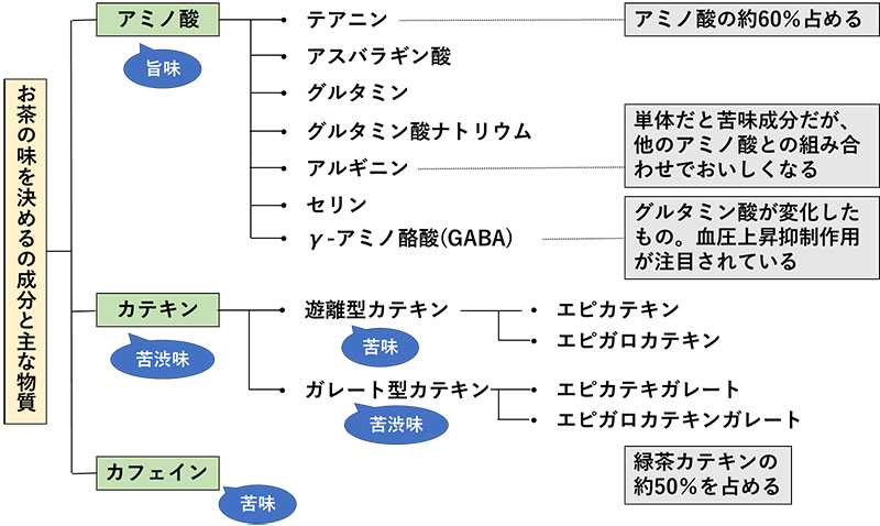 図2.お茶の味を決める3つの成分と主な物質