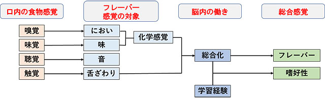 図1. 人の感覚とフレーバーとの関係