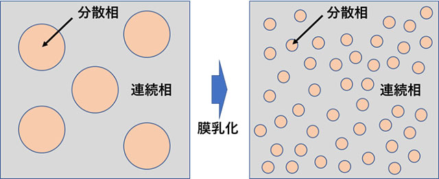 図1.エマルションの基本的構成 (分散相と連続相の概略図)