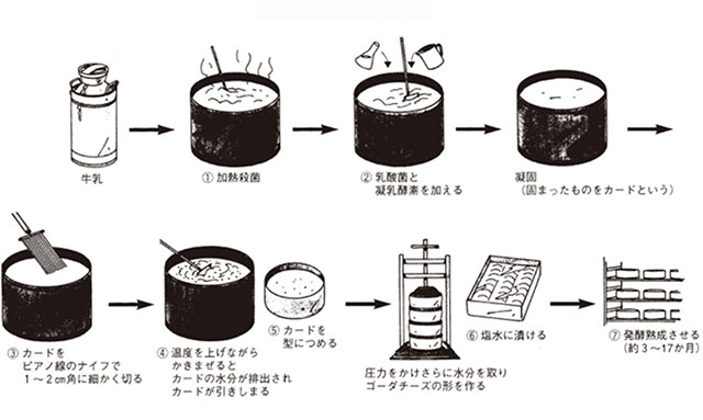 図1.熟成タイプ(ゴーダチーズ)のナチュラルチーズ製造プロセス1)