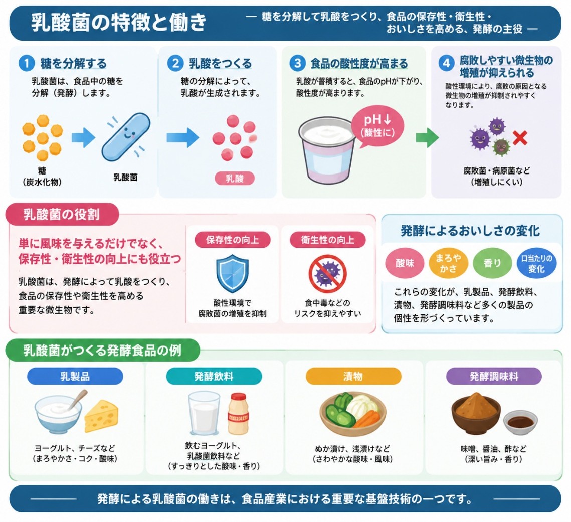 図１．乳酸菌の特徴と働き