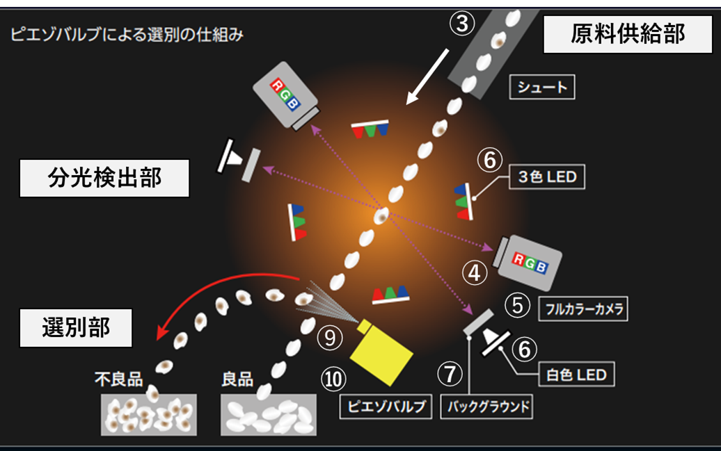 分光法を用いた色彩選別機の概略図